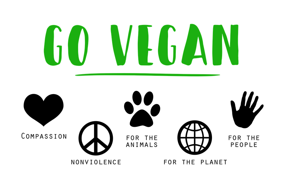 Ceia de Natal Vegano em Juiz de Fora MG - ViverJF Ceia de Natal Vegano em Juiz de Fora MG - ViverJF